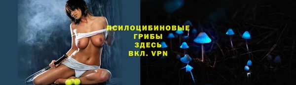 экстази Богданович