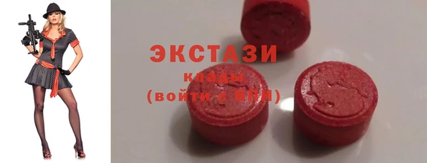 ECSTASY Богородицк