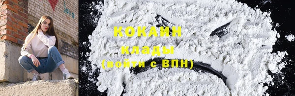 твердый Аркадак