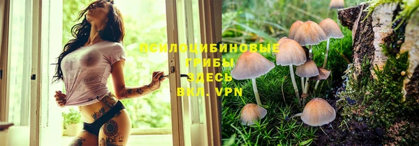 spice Арсеньев