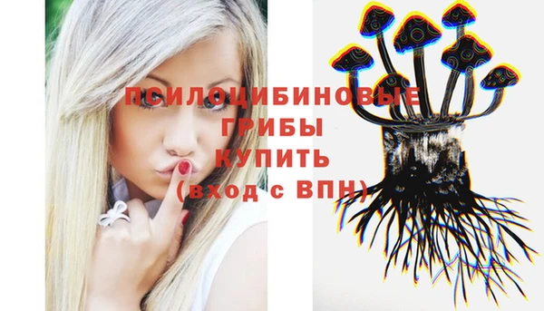молекула духа Армянск