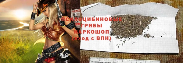 молекула духа Армянск