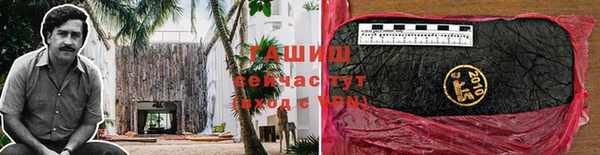 ECSTASY Богородицк